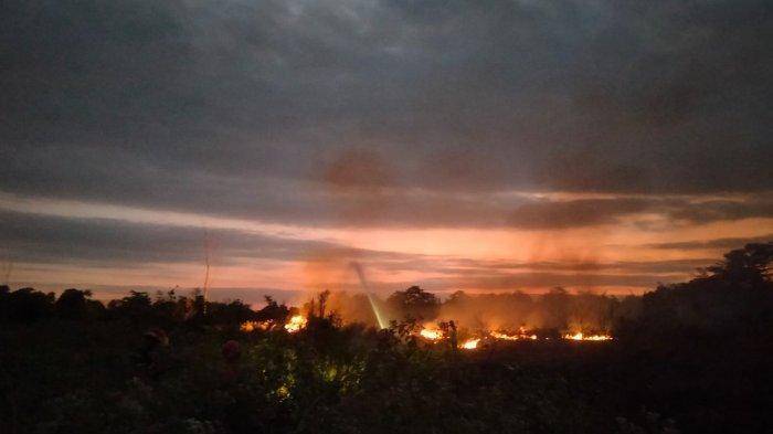 2207 - lahan terbakar