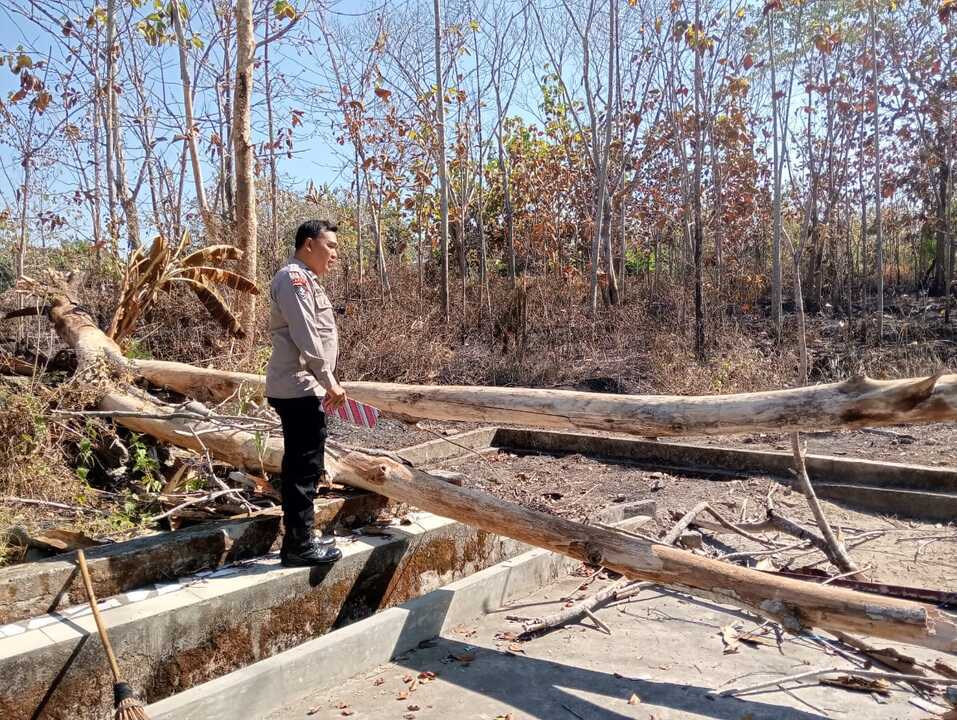 Tragedi Hari Pramuka Tragedi Hari Pramuka