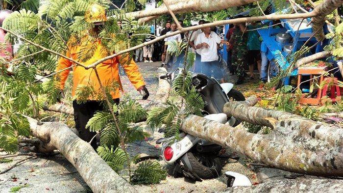 1311 - flamboyan roboh