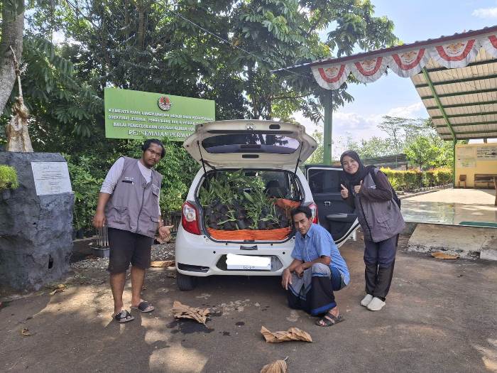 Mahasiswa MBKM KKN UNS Tanam 200 Pohon Tabebuya untuk Hijaukan Desa Conto