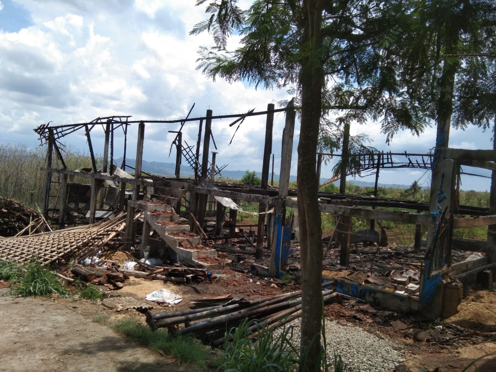 Kebakaran Kandang Ayam di Gaji Tubokarto Pracimantoro Wonogiri, 12 Ribu Ekor Ayam Terpanggang