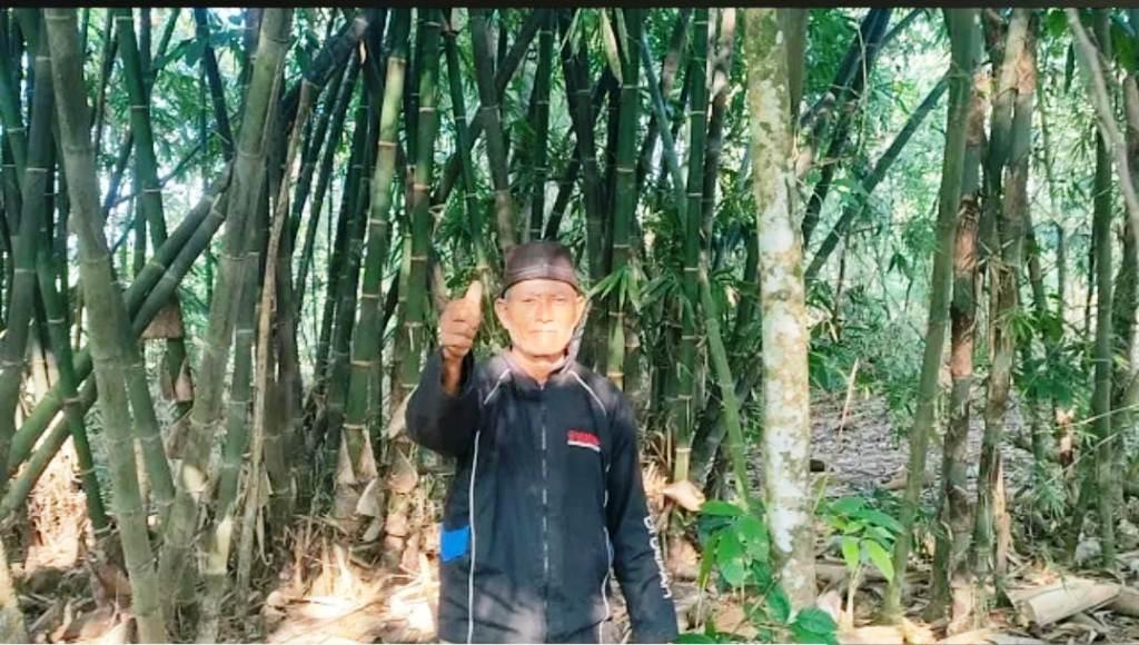 Kakek Dirjo, Petani Asal Desa Gading, Sumbang Satu Kebun Bambu untuk Untung Wiyono: Keluarga Pak Untung Dikenal Paling Ikhlas pada Masyarakat Sragen