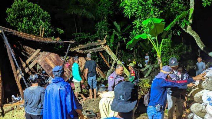 1712 - pohon tumbang