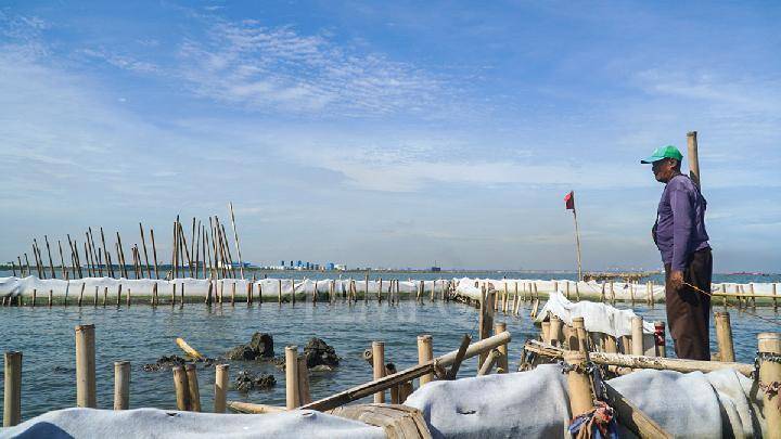 2601 - pagar laut bekasi