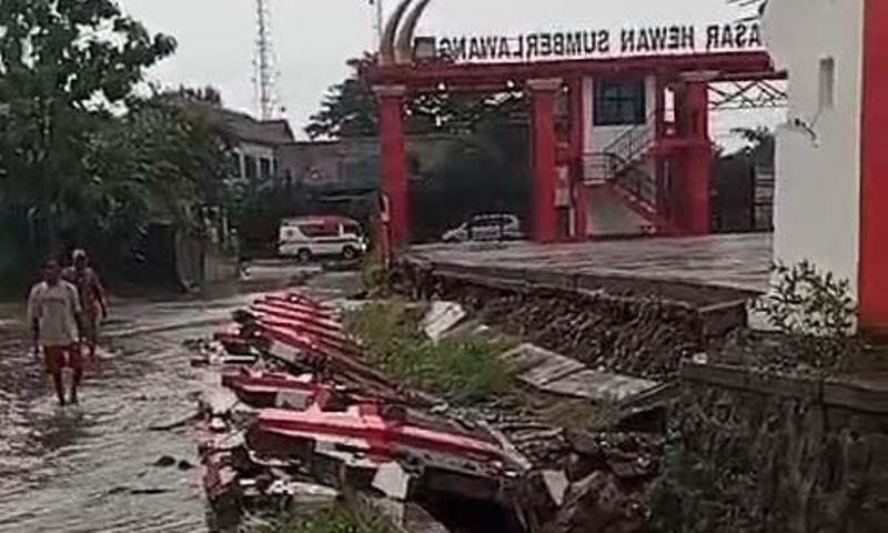 Tembok Pasar Hewan Sumberlawang Sragen Ambruk Tangkapan layar video tembok pasar Hewan Sumberlawang di Desa Ngandul, Sumberlawang, Sragen, Jawa Tengah ambruk saat hujan deras pada Senin (20/1/2025) Pukul 16:30 Wib