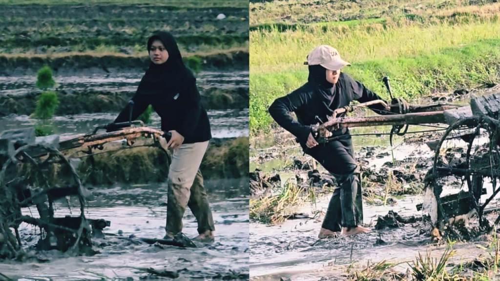 Dua mahasiswa cantik asal Dukuh Tanjungsari, Desa Jati Kecamatan Sumberlawang, Kabupaten Sragen, Jawa Tengah saat bekerja jadi tukang telaktor di sawah || Huri Yanto