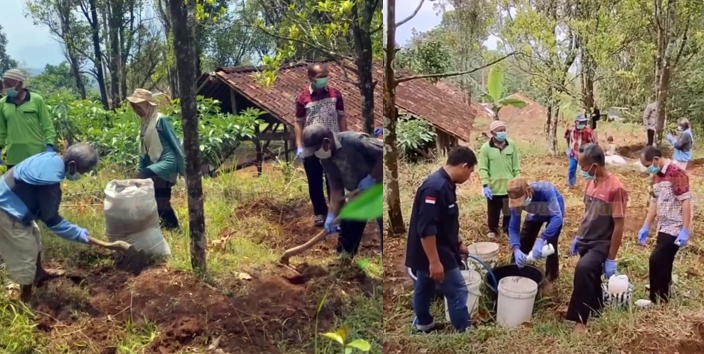 Petani Wonogiri Bangkit! Cengkeh Jatipurno Siap Kembali Harumkan Emas Hijau yang Hampir Punah