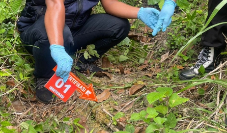 Temuan Mengerikan di Perbukitan Wonogiri, Identitas Kerangka Akhirnya Terjawab