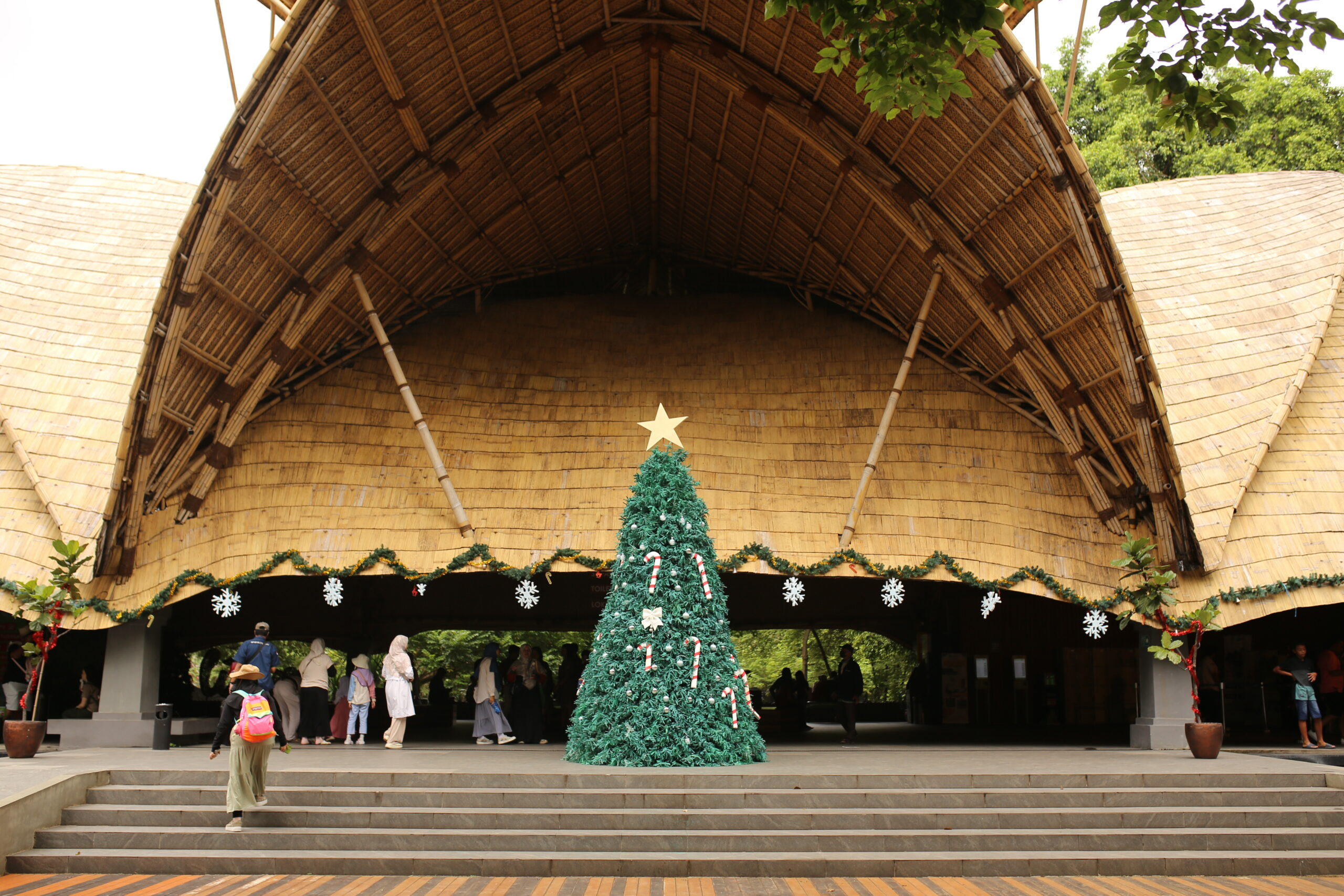 Safari Christmas Joy, Cara Unik Solo Safari Sambut Libur Natal dan Tahun Baru