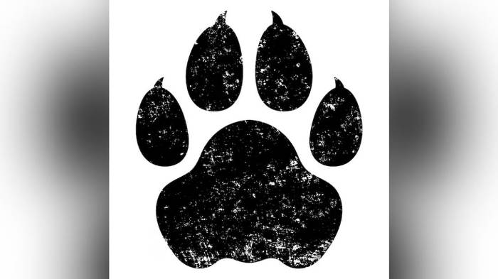 Jejak Telapak Misterius Gegerkan Warga Semanu, Gunungkidul