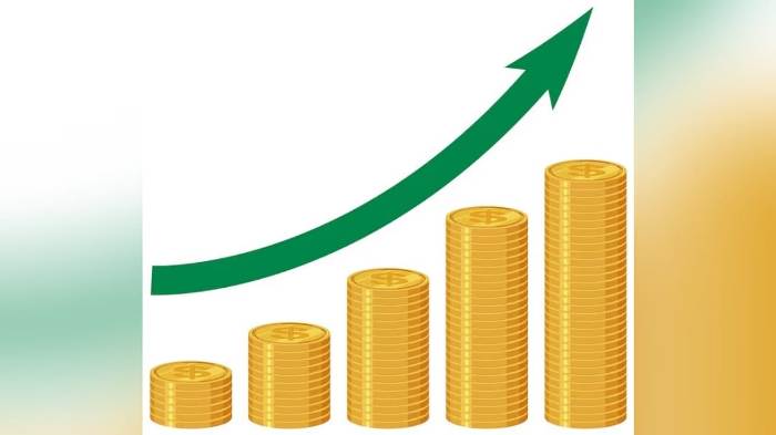 Harga Naik di Akhir Tahun, Pemerintah Klaim Daya Beli Aman