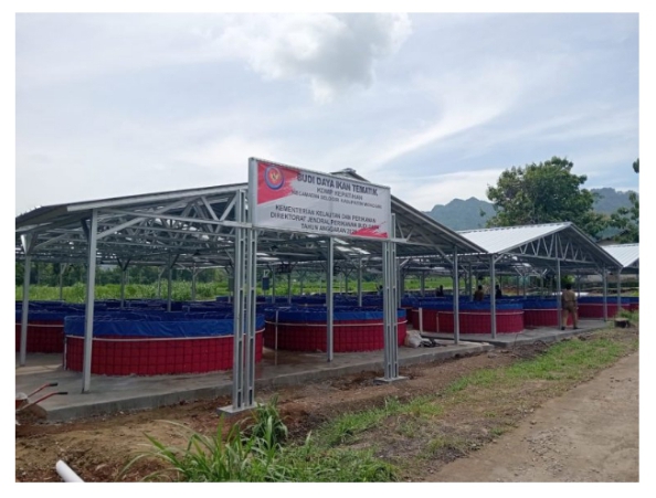 Tebar 60 Ribu Benih Lele di Selogiri, Program Ikan Tematik Wonogiri Disiapkan Jadi Mesin Uang Desa