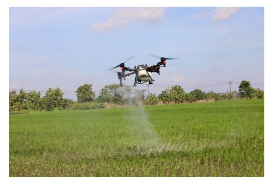 Nekat Jual Sawah? Siap Dihukum! Jateng Terapkan Sanksi Pidana Pelaku Alih Fungsi Lahan