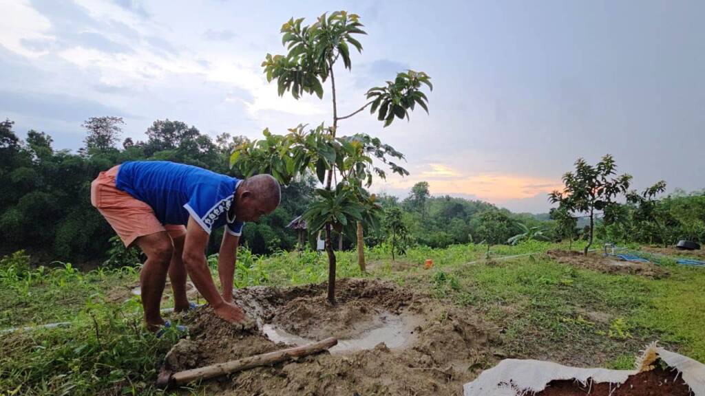Nikmati Masa Pensiun: Tatag Prabawanto Mantan Sekda Sragen Sulap Lahan Mati Jadi Kebun Buah