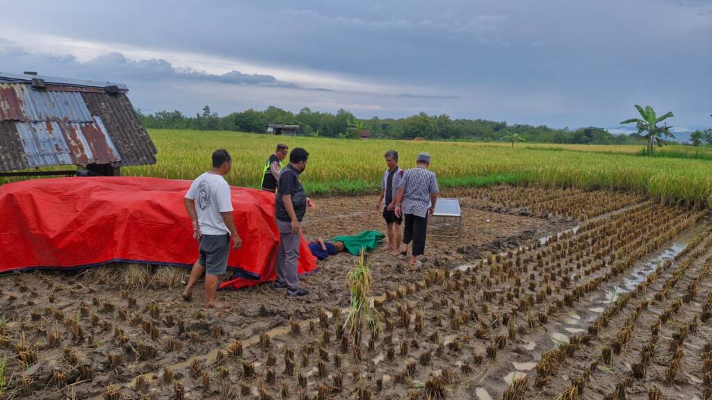 Innalillahi, Warga Belikurip Baturetno Meninggal Saat Panen Padi, Hujan Turun Jadi Momen Terakhir Almarhum di Pracimantoro