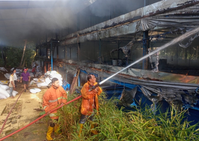 16 Ribu Ekor Ayam Terbakar di Girimarto Wonogiri