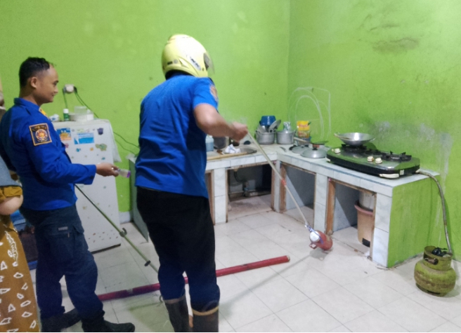Detik-Detik Menegangkan! Ular Weling Super Berbisa Muncul di Dapur Warga Baturetno
