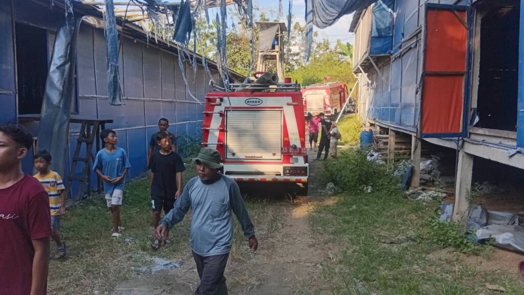 Kandang Ayam di Jendi Selogiri Terbakar! Damkar Berpacu Lawan Api Agar Tak Meluas