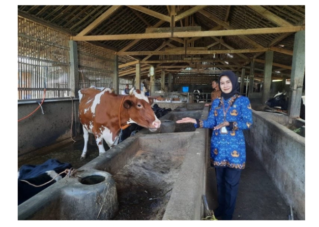 Sapi