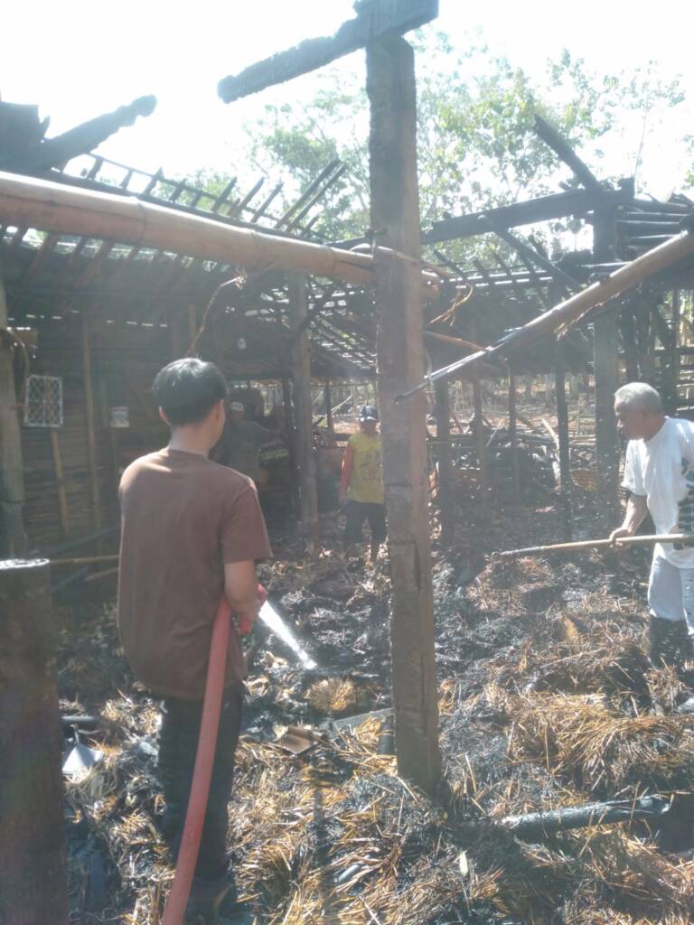 Pemilik Sedang Salat Jumat Kandang Dilalap Api! Detik-Detik Kebakaran di Sumberejo Jatisrono