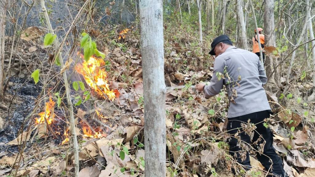 Gunung Ngasem Terbakar! 3 Hektare Hutan di Sidoharjo Ludes