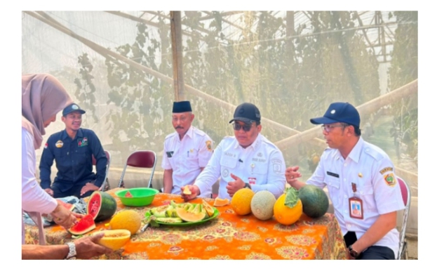 Lagi Hits di Wonogiri! Wisata Petik Melon dan Semangka Langsung dari Kebun Greenhouse Harjo Widodo