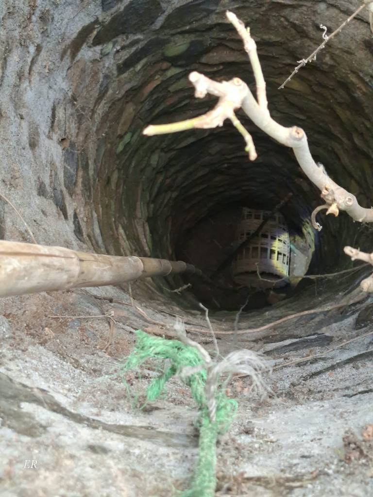 Bikin Melow! Damkar Wonogiri Evakuasi Kucing Nyemplung Sumur, Satset Dasdes
