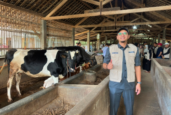 Bukan Boyolali Saja! Wonogiri Berpotensi Jadi Pusat Sapi Perah dan Daging Berkualitas