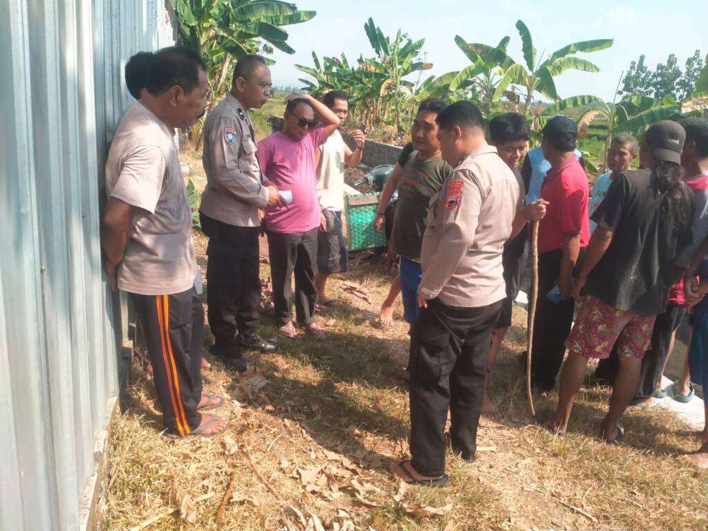 meninggal di sawah