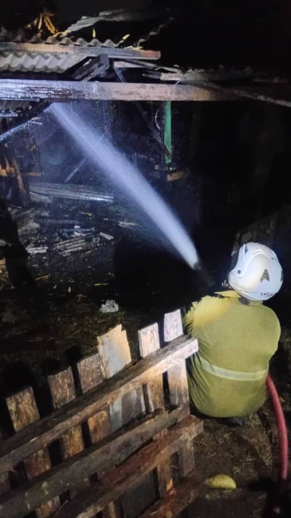 Dinihari Kandang Kambing di Wonogiri Terbakar, 7 Ekor Berhasil Diselamatkan Warga