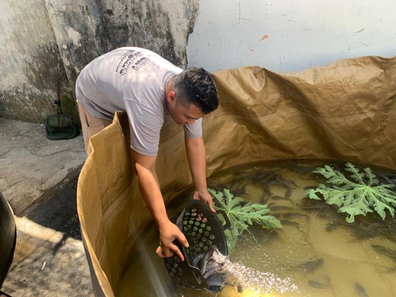 Bukan Sekadar Pelihara Lele, WBP Lapas Wonogiri Sedang Menyiapkan Bekal Usaha Setelah Bebas