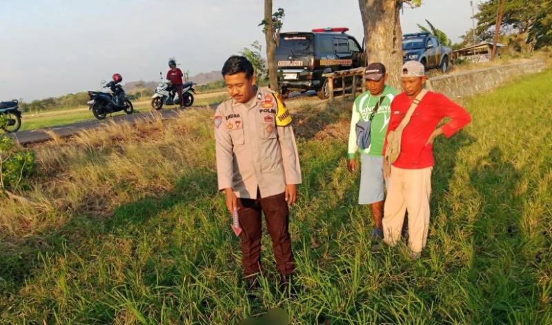 Innalillahi!Jatuh dari Pohon di Sawah Pule Selogiri, Warga Wonogiri Meninggal Dunia